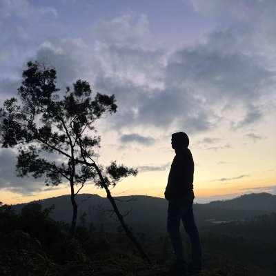 @AKSystemTrader avatar